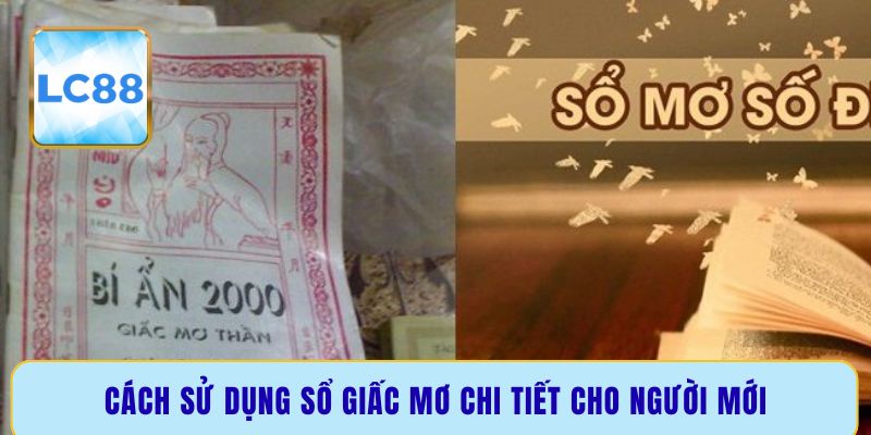 Cách sử dụng sổ giấc mơ chi tiết cho người mới