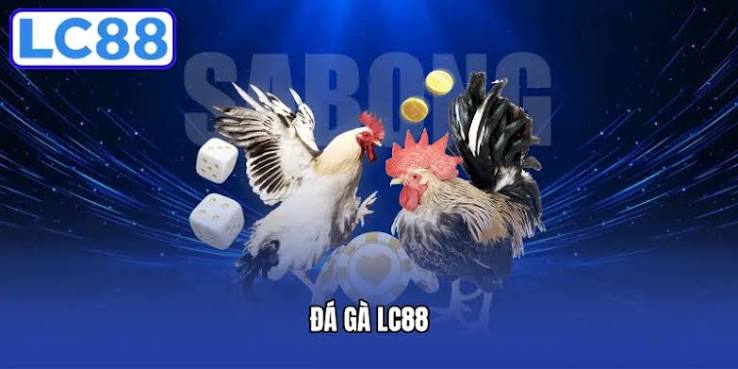 Đá gà cựa sắt LC88