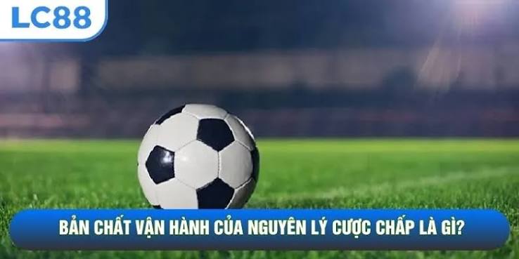 Mẹo vào kèo handicap LC88
